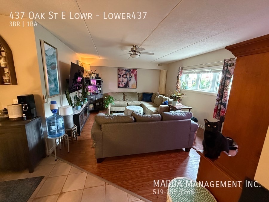 437 Oak St E in Leamington, ON - Building Photo