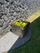 655A Hinano St in Hilo, HI - Building Photo - Building Photo