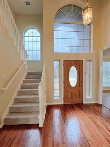 705 Pine Lakes Dr in Plano, TX - Building Photo - Building Photo