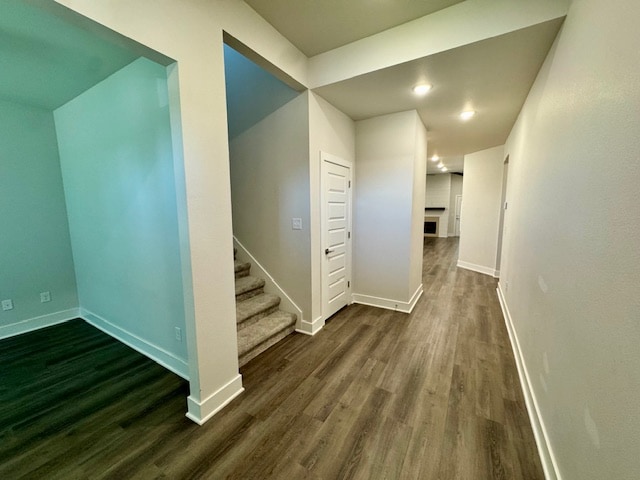 3909 SW Pecan Cir in Bentonville, AR - Foto de edificio - Building Photo