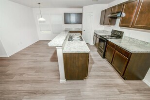 3503 Giorgio Pastel Pl in Katy, TX - Building Photo