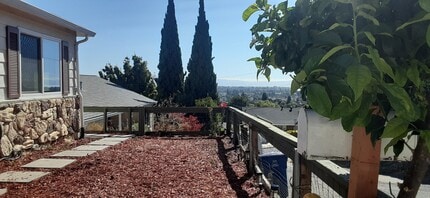 1109 Rowena Dr in Hayward, CA - Foto de edificio - Building Photo