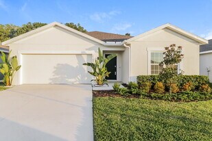 18588 Hunters Meadow Walk in Land O Lakes, FL - Building Photo