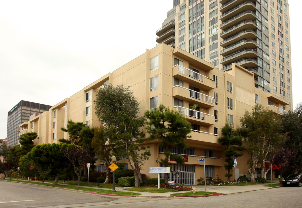 Wilshire Villa Apartments in Los Angeles, CA - Building Photo