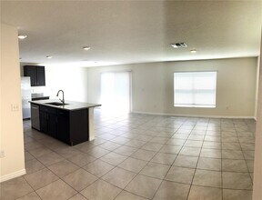 12068 Downy Birch Dr in Riverview, FL - Building Photo - Building Photo
