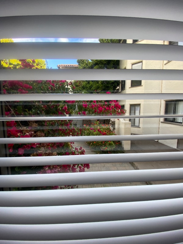 1700 Le Roy Ave in Berkeley, CA - Building Photo - Building Photo