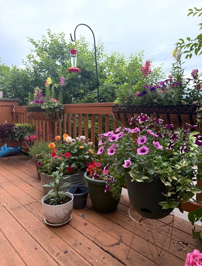 22369 Lilac Way in Forest Lake, MN - Foto de edificio - Building Photo