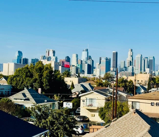 215 E 29th St in Los Angeles, CA - Building Photo - Building Photo