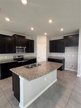 17005 AVON Ln in Wimauma, FL - Building Photo - Building Photo
