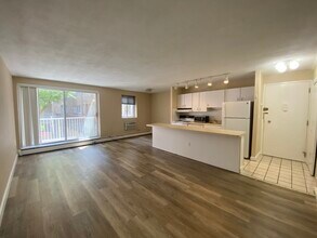 123 Sewall Ave, Unit 1A in Brookline, MA - Building Photo - Building Photo