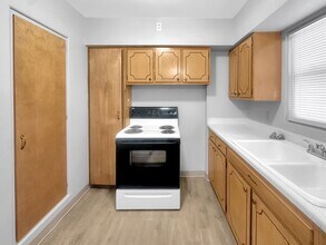 28 Ridgewood St in Kalamazoo, MI - Building Photo - Building Photo