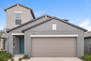 17954 Blissful Stars Dr in Lutz, FL - Building Photo