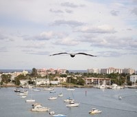 Apartments in Riviera Beach, FL