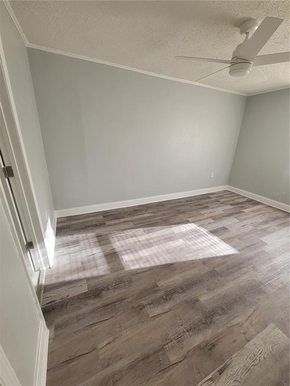 4228 Lenox Blvd in Orlando, FL - Building Photo - Building Photo