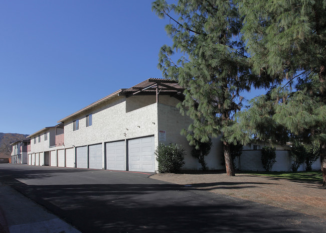 16495 Joy St in Lake Elsinore, CA - Foto de edificio - Building Photo