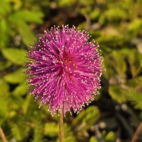 1670 NE 191st St, Unit 208-3 in North Miami Beach, FL - Building Photo