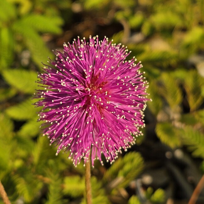 1670 NE 191st St, Unit 208-3