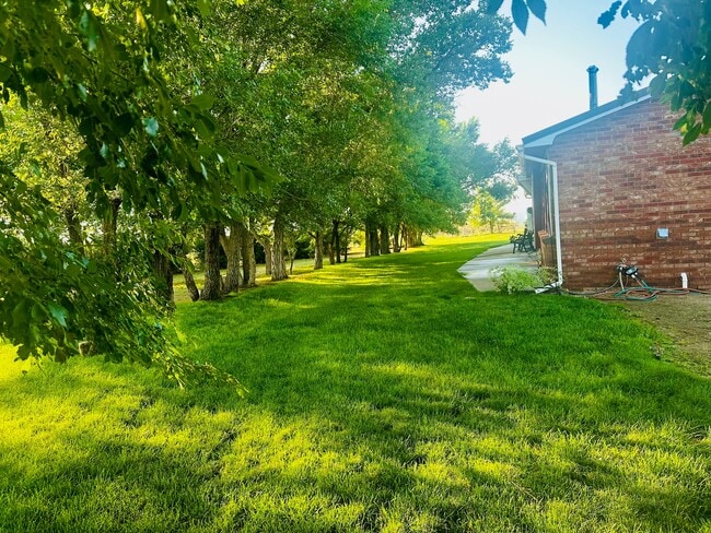19230 Loop Rd in Colorado Springs, CO - Building Photo - Building Photo