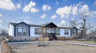 393 Fire Field Rd in New Braunfels, TX - Building Photo