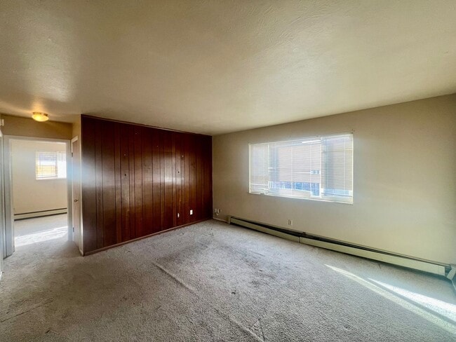 1117 Old Dutch Mill Rd in Colorado Springs, CO - Building Photo - Building Photo