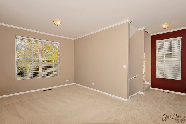 743 Cherry Creek Dr in Grayslake, IL - Building Photo - Building Photo