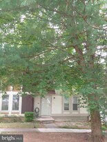 5565 Peppercorn Dr in Burke, VA - Building Photo