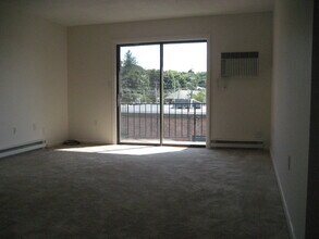 20 Amici Way in Andover, MA - Building Photo - Building Photo