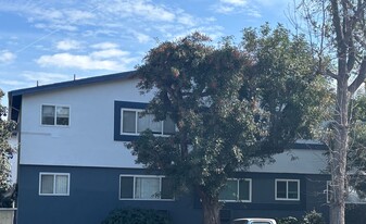 4916 Hazeltine Ave in Los Angeles, CA - Building Photo