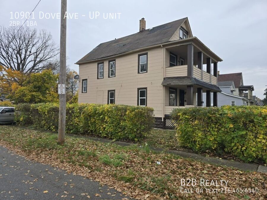 10901 Dove Ave in Cleveland, OH - Building Photo