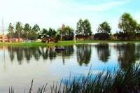 Pond - Country Village Apartments in Beaumont, Texas