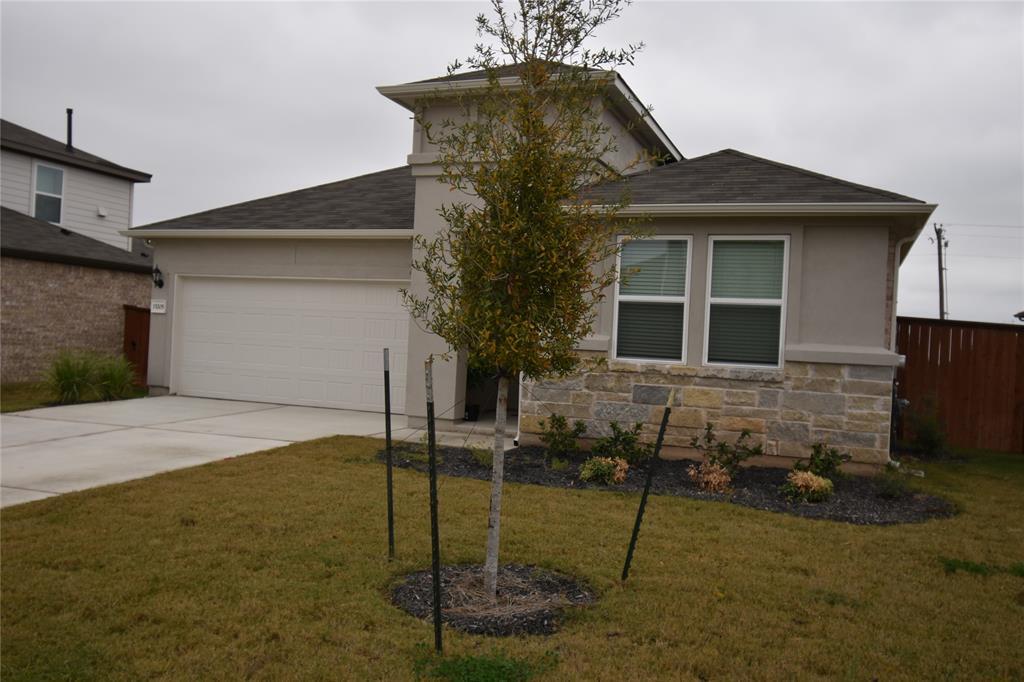 15205 Ollie Briar St in Pflugerville, TX - Building Photo