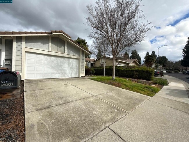 5303 Grasswood Cir in Concord, CA - Building Photo - Building Photo