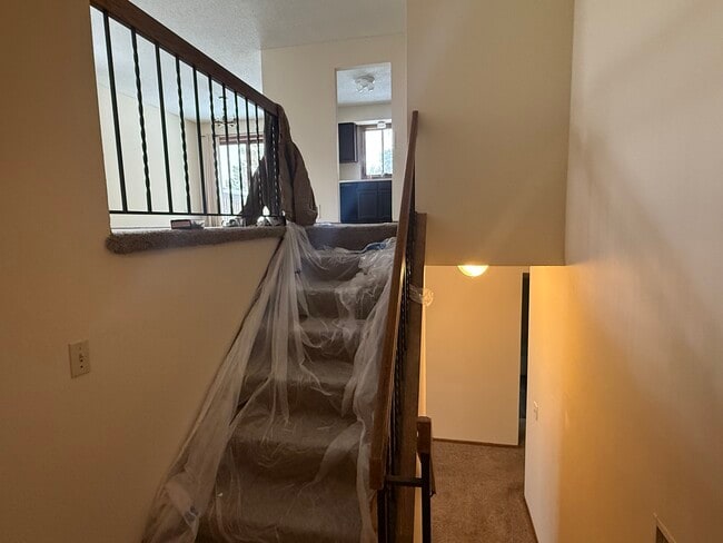 2528 Birchview Ln in Hopkins, MN - Building Photo - Building Photo