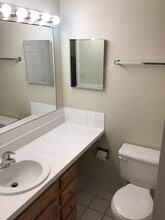 1833 Four Lakes Ave in Lisle, IL - Building Photo - Building Photo