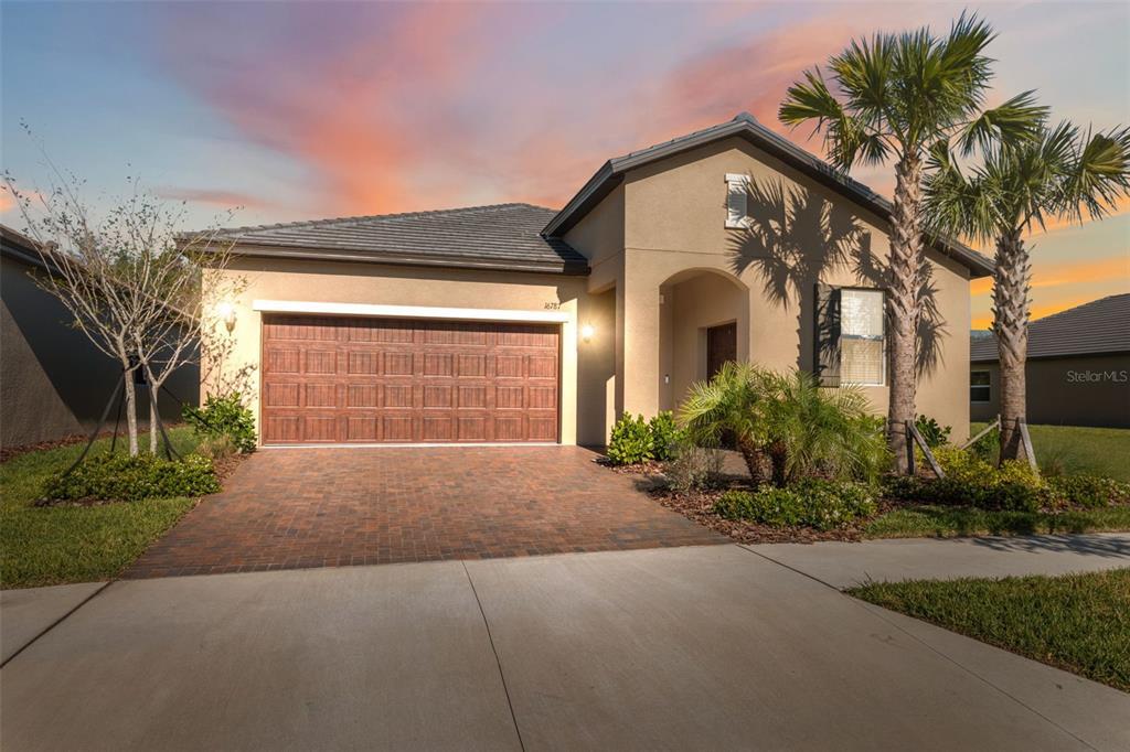 16787 Shell Bay Dr in Land O Lakes, FL - Building Photo