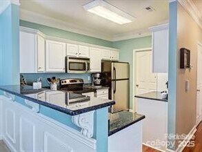 16423 Golden River Ln in Charlotte, NC - Building Photo - Building Photo