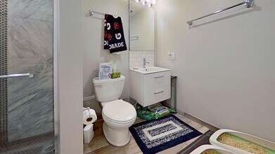 719 W Buckingham Pl in Chicago, IL - Building Photo - Building Photo