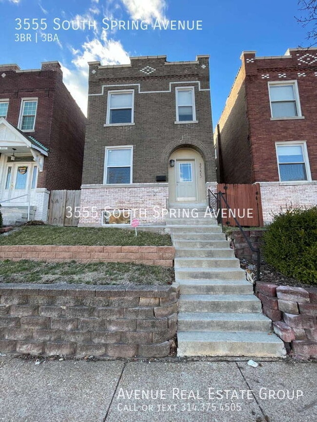 3555 S Spring Ave in St. Louis, MO - Foto de edificio - Building Photo