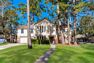 17734 Moss Point Dr in Spring, TX - Building Photo