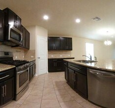 15525 Gray Catbird in San Antonio, TX - Building Photo - Building Photo