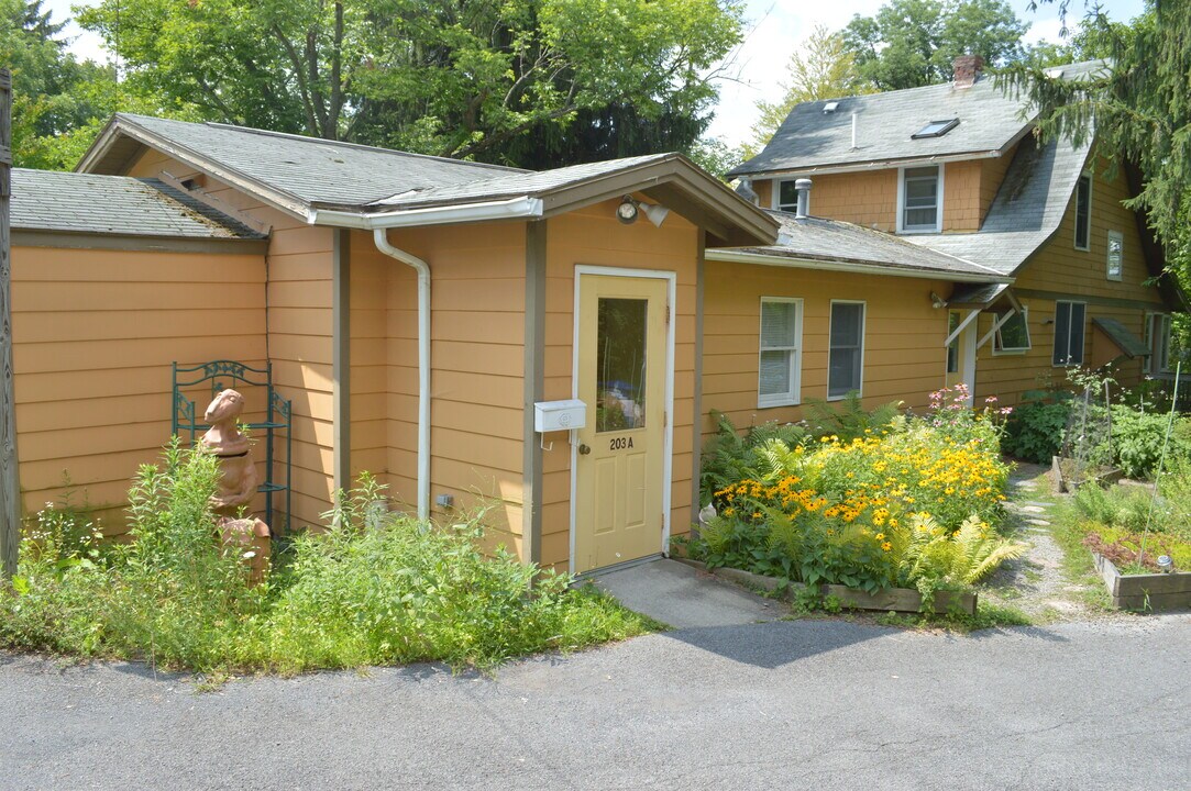 203 Pine Tree Rd in Ithaca, NY - Building Photo