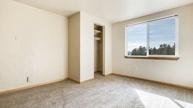 77 Catamount Ln in Bailey, CO - Building Photo - Building Photo