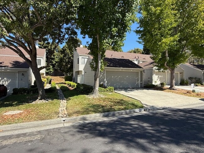 property at 2421 Branchwood Ct