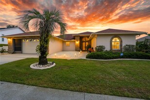 1250 Masada Ln in Spring Hill, FL - Building Photo