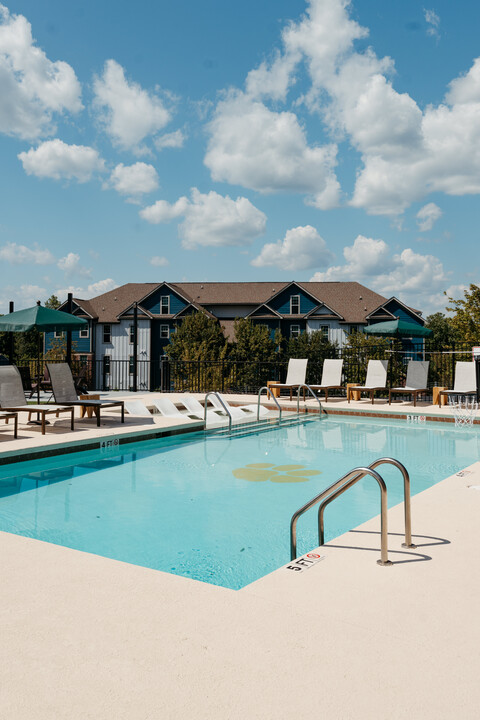 Clemson Lofts in Clemson, SC - Building Photo