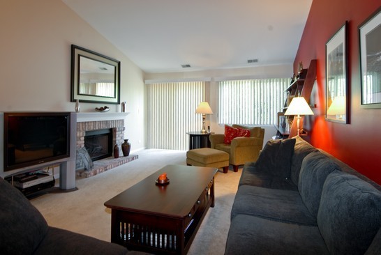 2132 Fulham Dr in Naperville, IL - Building Photo - Building Photo