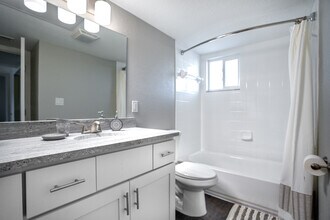 Snell Isle in St. Petersburg, FL - Building Photo - Building Photo