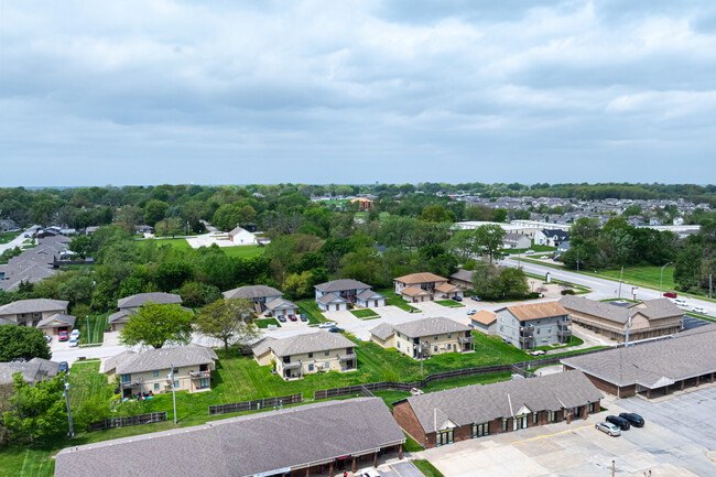 217 Sky Vue Dr in Raymore, MO - Foto de edificio - Building Photo