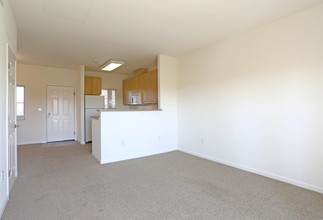 Cornerstone Apartments in San Ramon, CA - Building Photo - Interior Photo