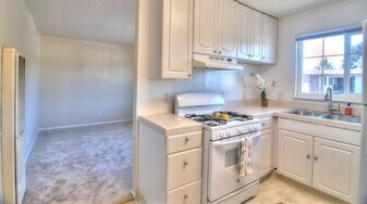 505 Columbia Ave in Sunnyvale, CA - Building Photo